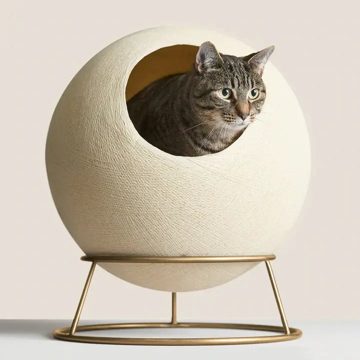 PawsPrank Stellar Cat Bed