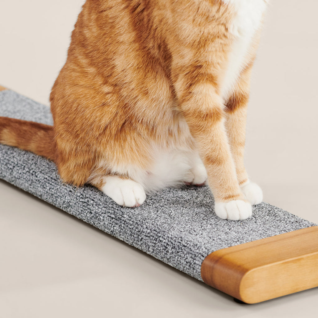 PawsPrank Flexi-Scratch Board - Wall Mountable & Versatile