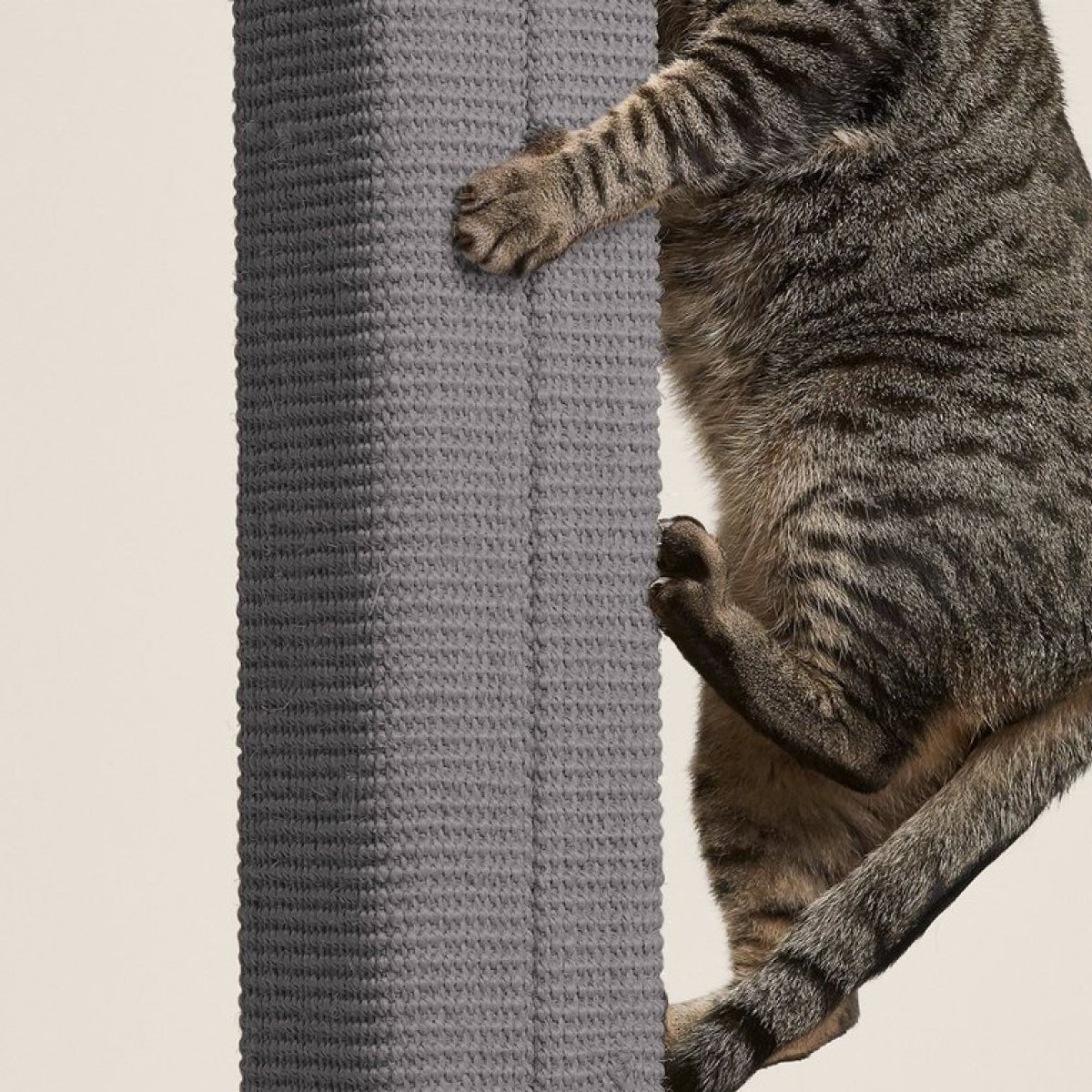 PawsPrank Zip Modern Scratching Post