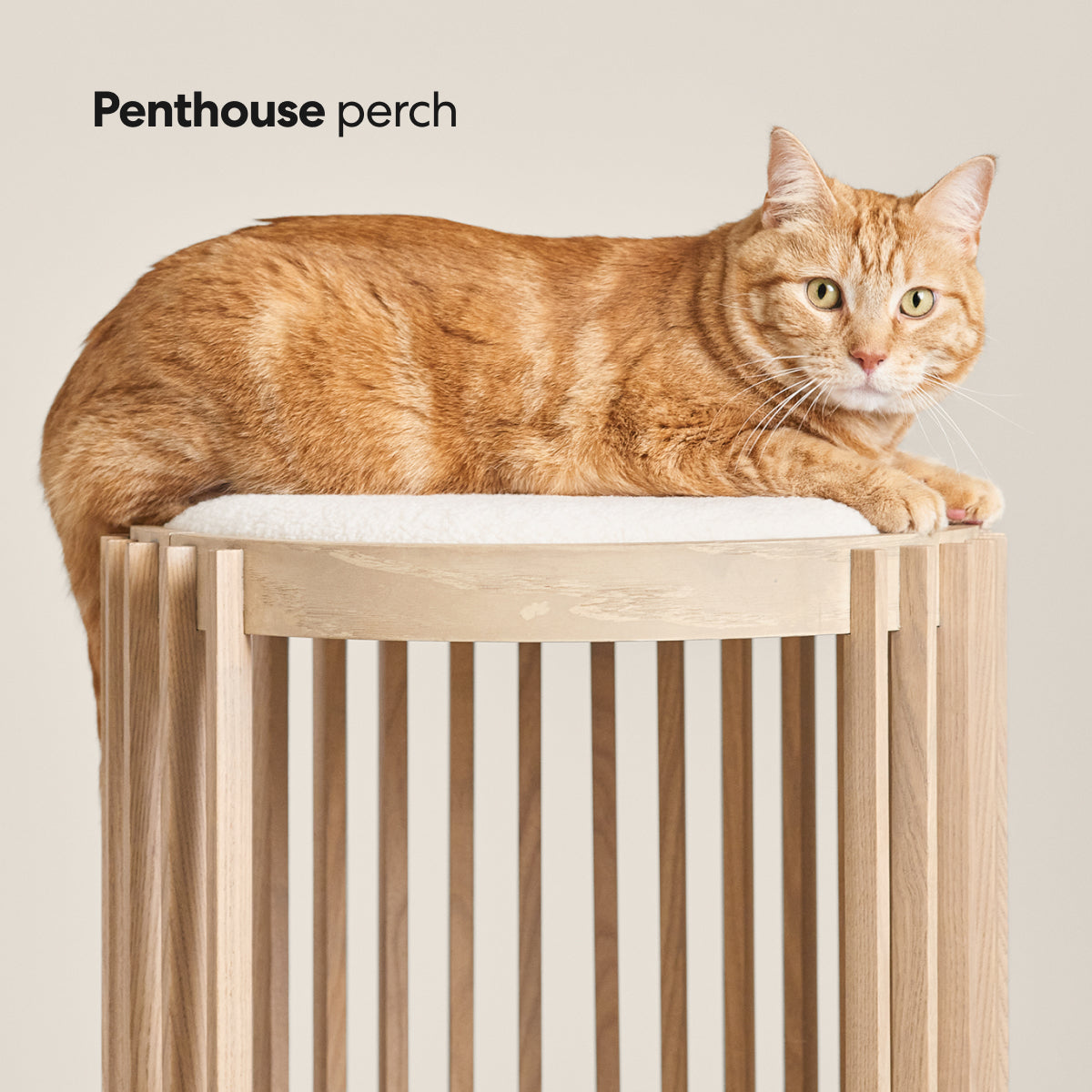 PawsPrank Nordic Minimalist Wood Cat Tree - Modern Design