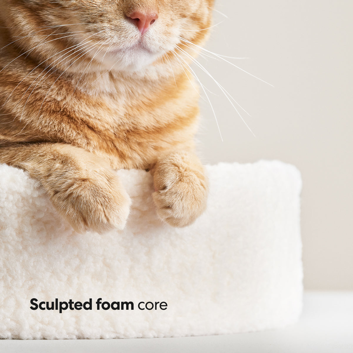 PawsPrank Cloud-9 Orthopedic Cat Bed - Faux Shearling & Memory Foam