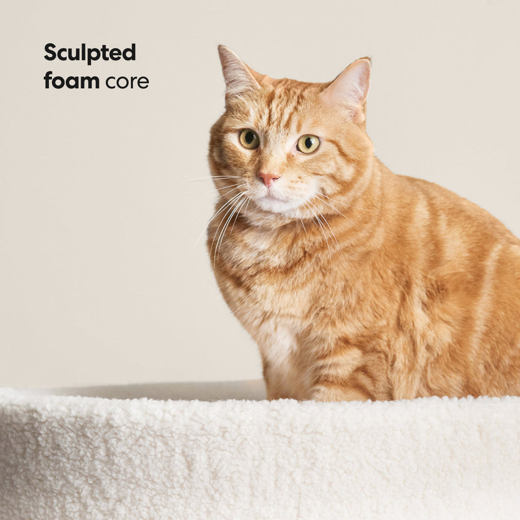 PawsPrank Cloud-9 Orthopedic Cat Bed - Faux Shearling & Memory Foam