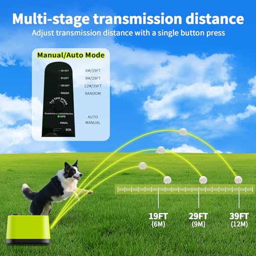 Doggie Lab: Kinetic-1 Automatic Launcher