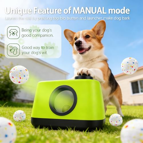 Doggie Lab: Kinetic-1 Automatic Launcher
