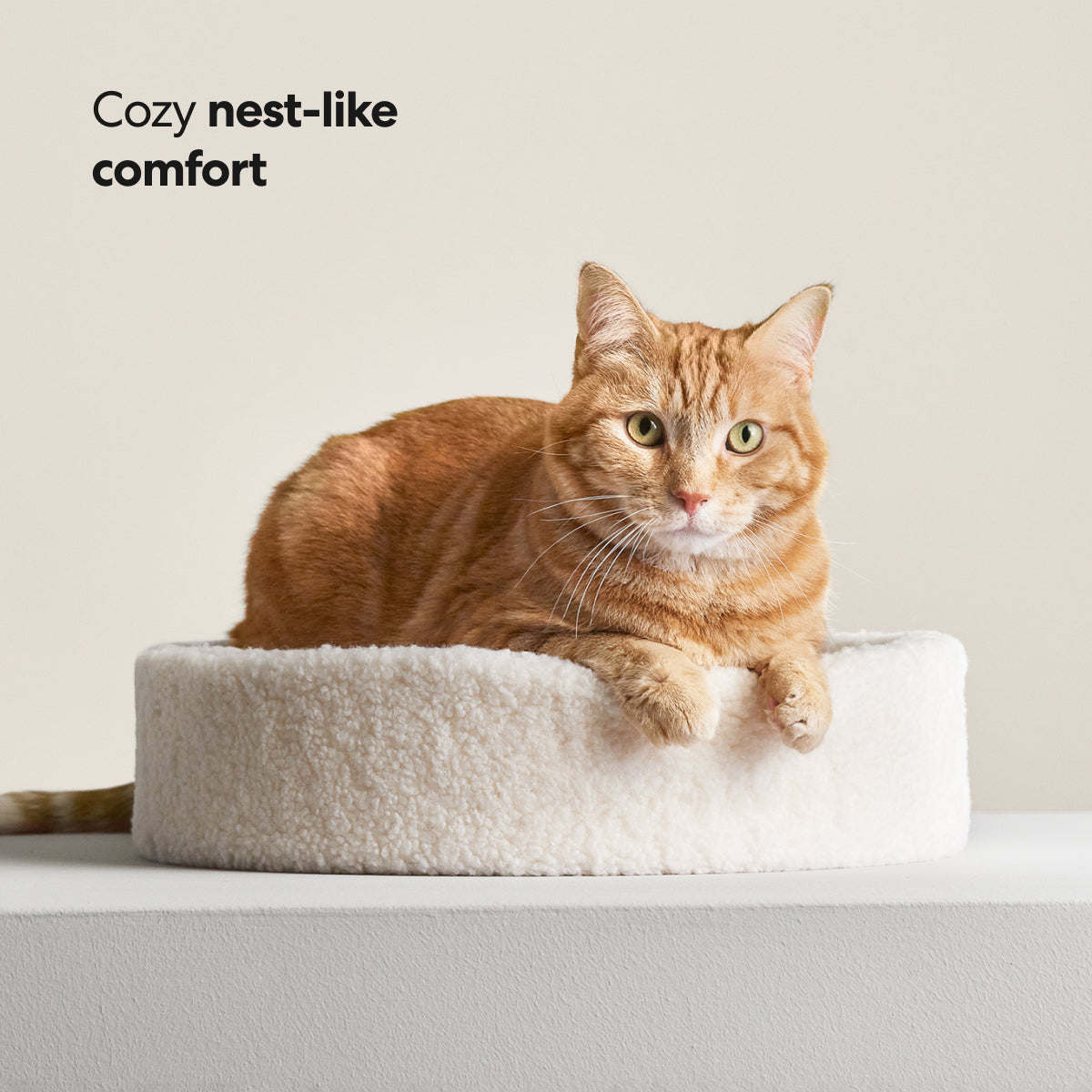 PawsPrank Cloud-9 Orthopedic Cat Bed - Faux Shearling & Memory Foam