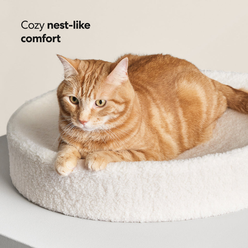 PawsPrank Cloud-9 Orthopedic Cat Bed - Faux Shearling & Memory Foam