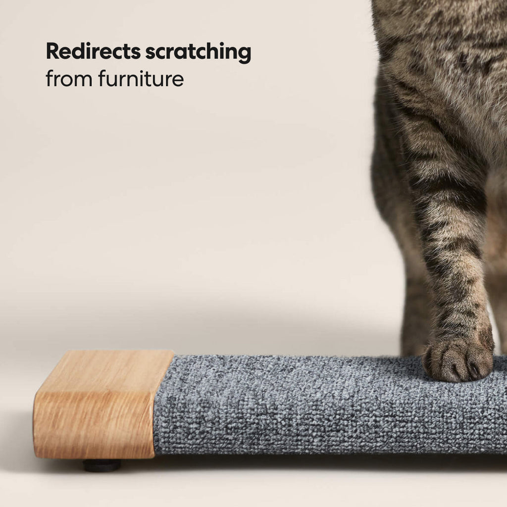 PawsPrank Flexi-Scratch Board - Wall Mountable & Versatile