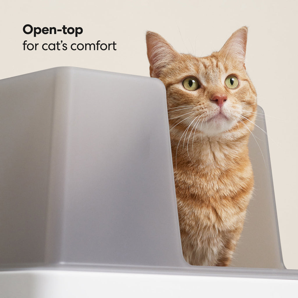 PawsPrank Horizon Modern Litter Box - Integrated Tool System