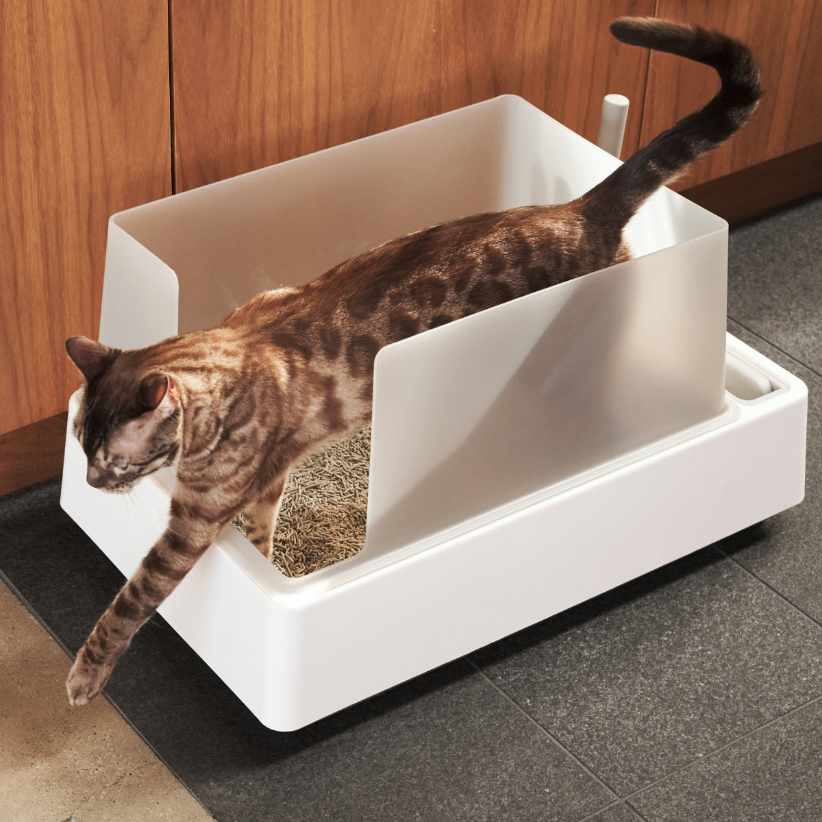 PawsPrank Horizon Modern Litter Box - Integrated Tool System
