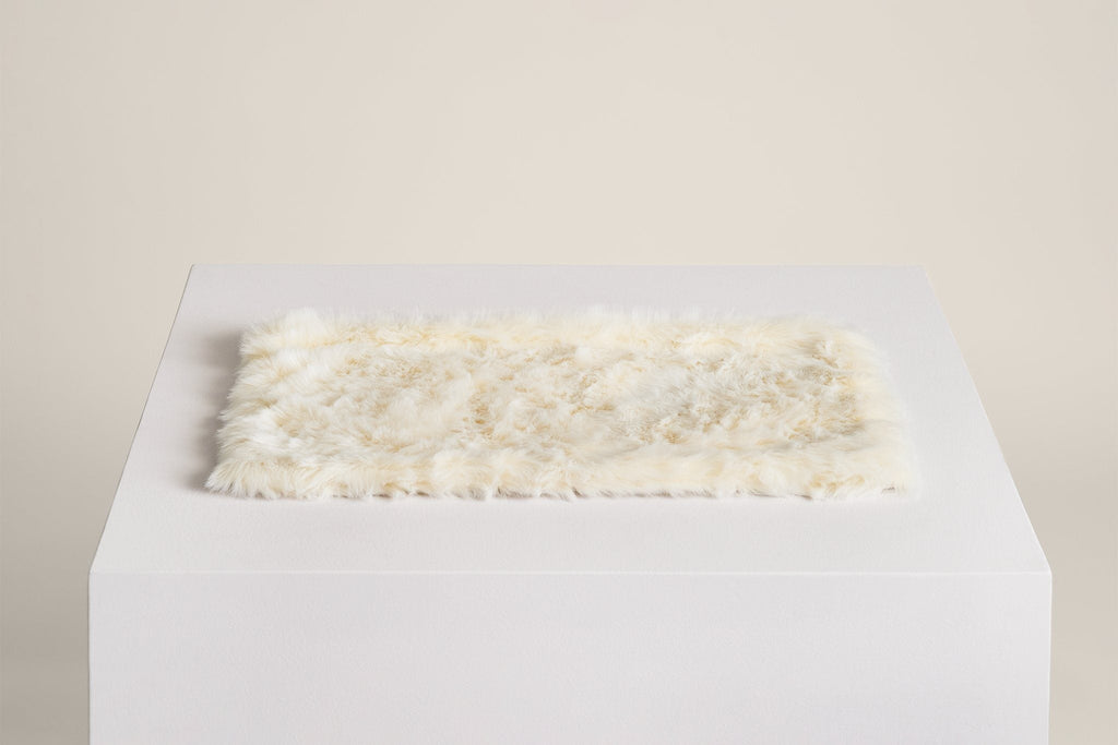 PawsPrank Floof Luxury Cat Blanket