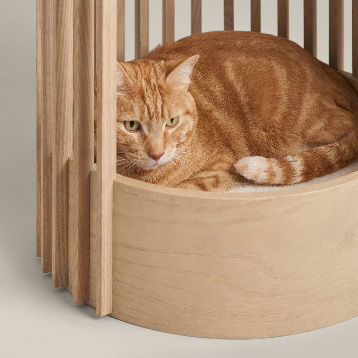 PawsPrank Nordic Minimalist Wood Cat Tree - Modern Design