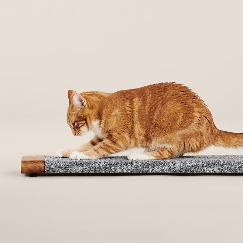 PawsPrank Flexi-Scratch Board - Wall Mountable & Versatile
