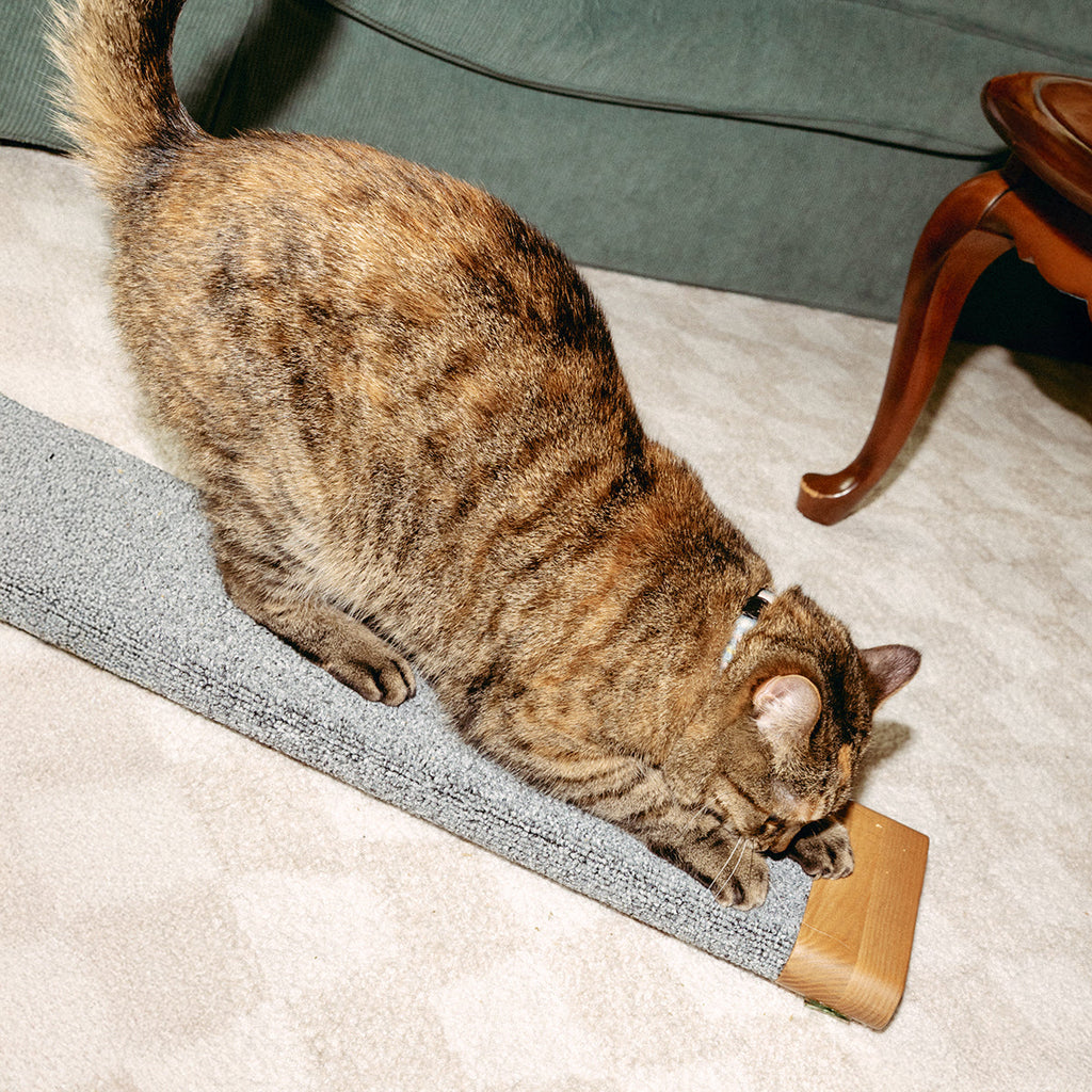 PawsPrank Flexi-Scratch Board - Wall Mountable & Versatile