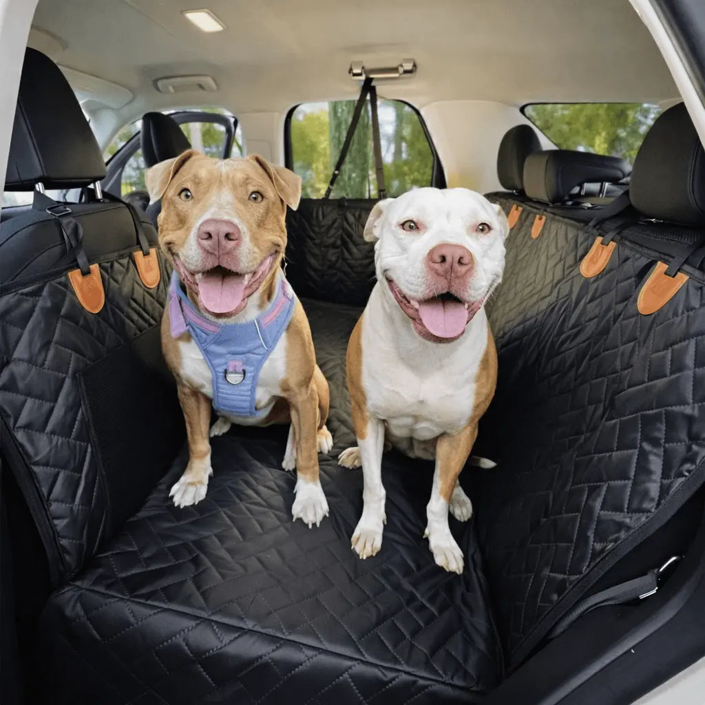 PawsPrank SafeRide™ Hard Bottom Dog Car Seat Cover