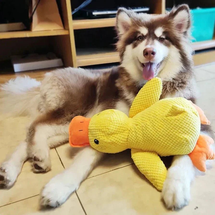「Best Seller」Calming Duck Companion Dog Toy