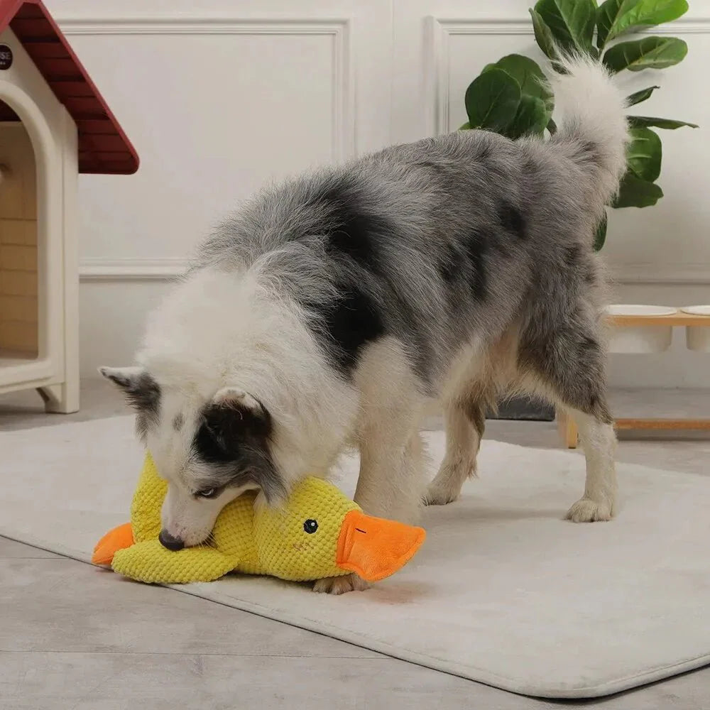 「Best Seller」Calming Duck Companion Dog Toy